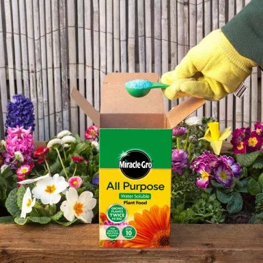 Miracle-Gro All Purpose Soluble Plant Food (1kg)