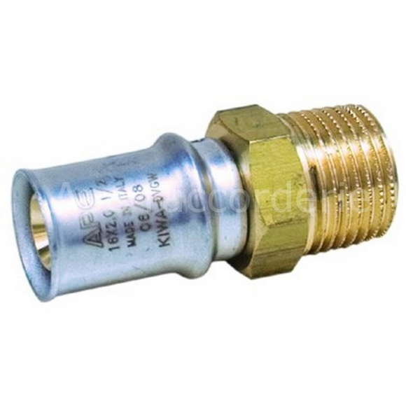 APE  Ap101 Str  Male - 1/2